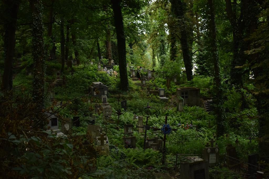 Dojazd do Lwowa Dojazd do Lwowa